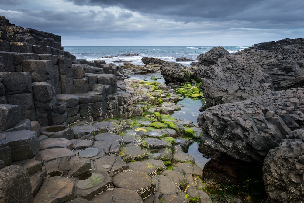 gray rocky shore under white cloudy sky during daytime