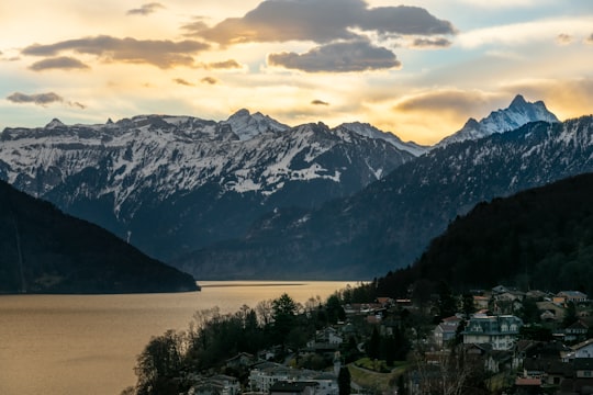 green trees near lake and mountain under cloudy sky during daytime in Spiez Switzerland