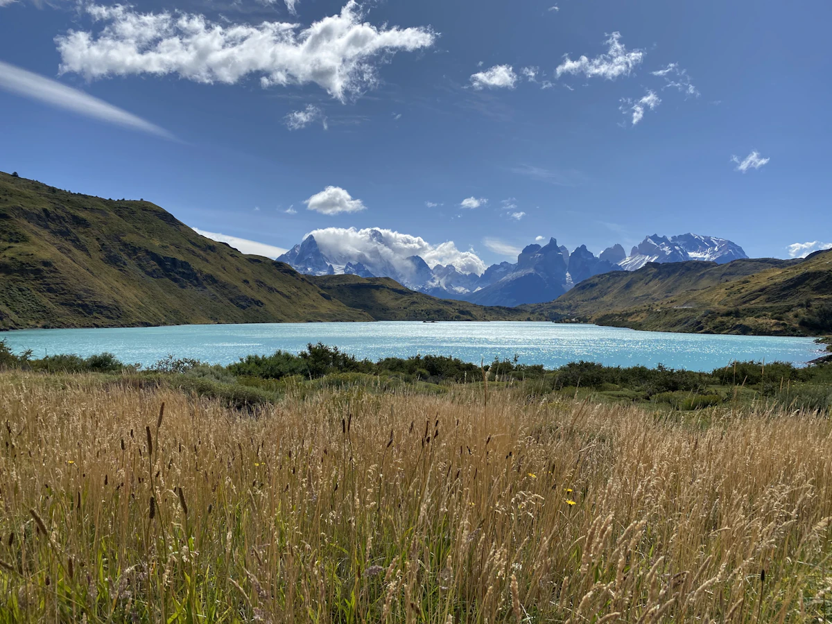 Golden grass in front of a turquoise lake, with the Paine massif under cloud across the water
