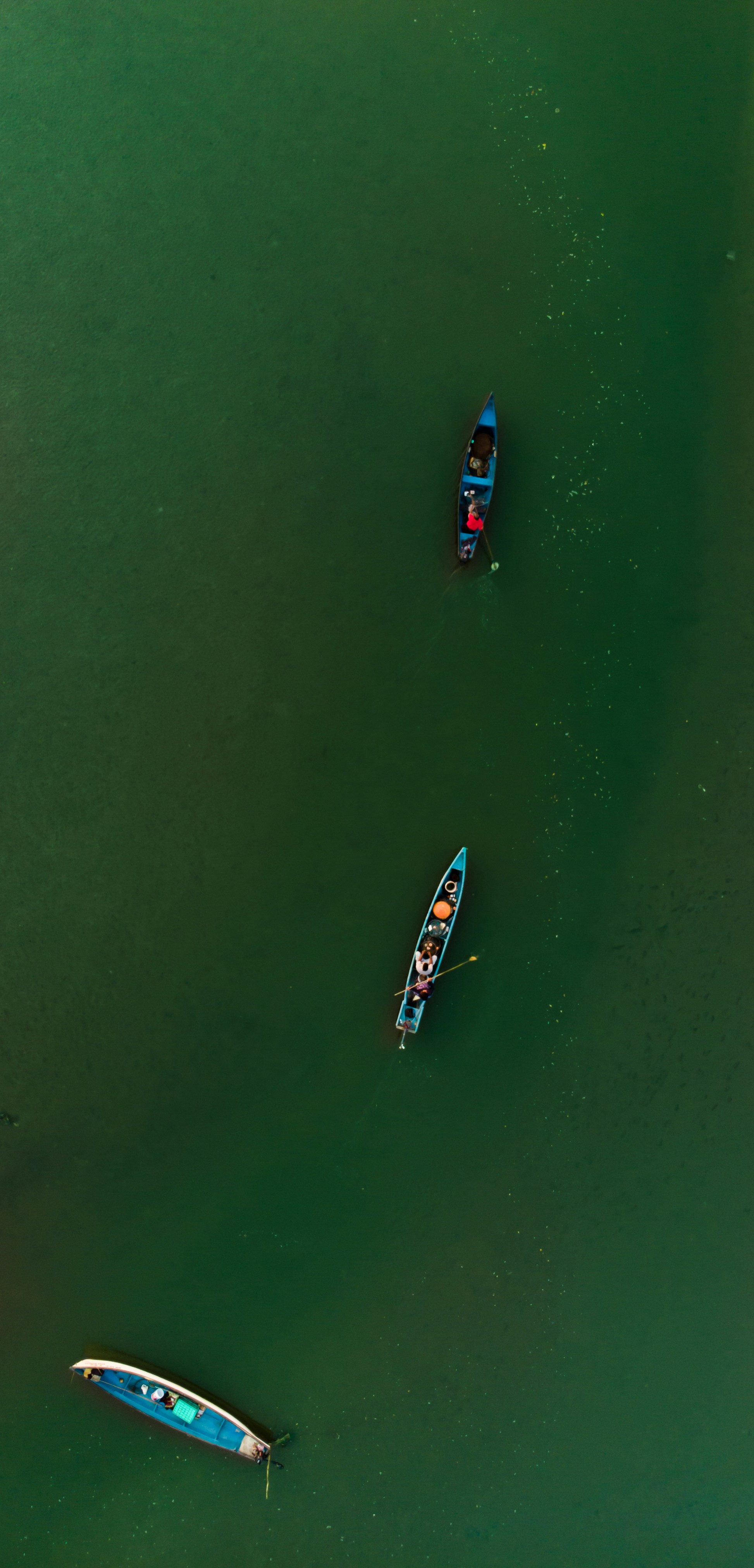 Photo by photographyfreak_7