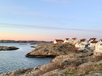 houses near body of water during daytime