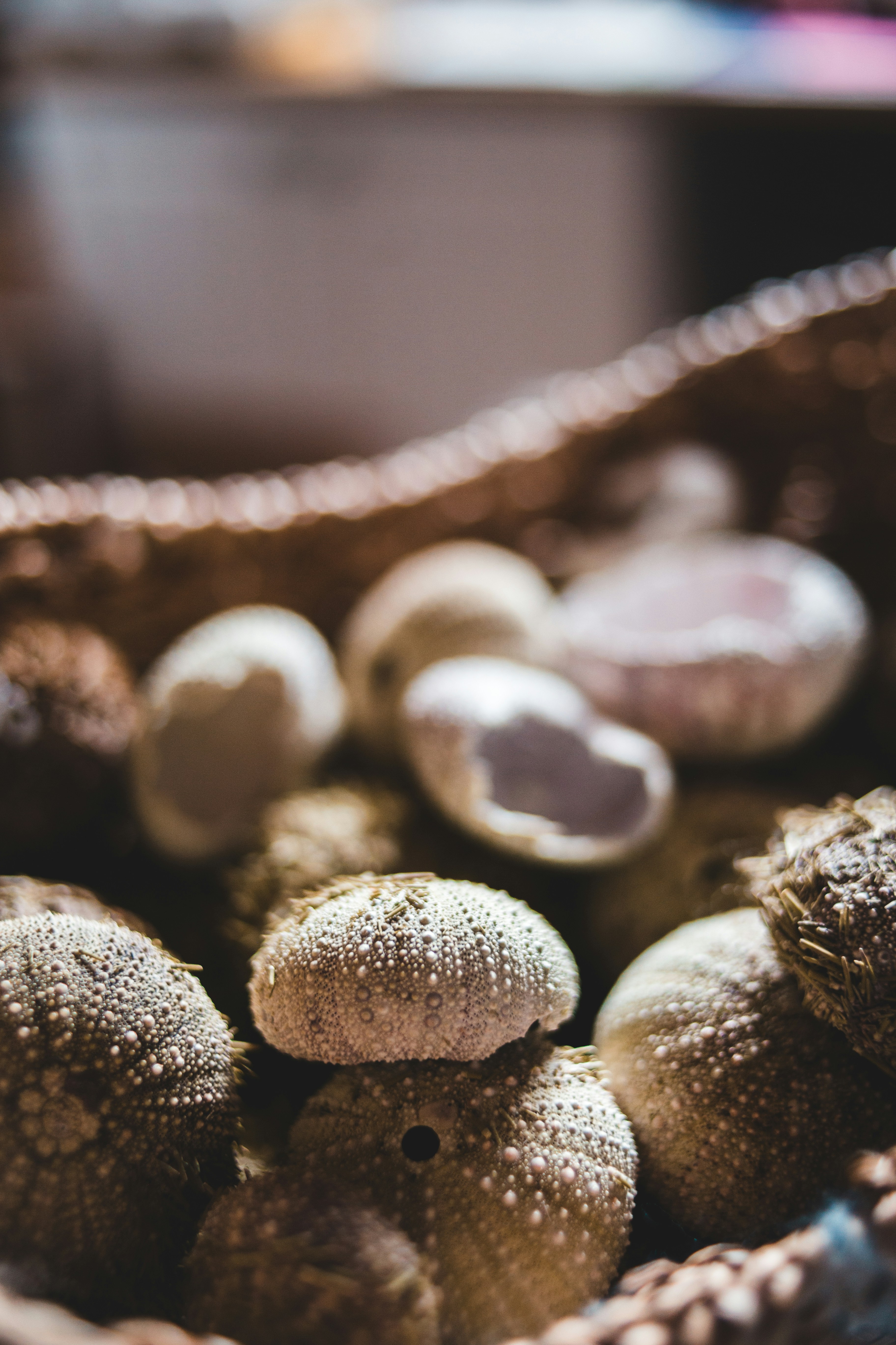 Photo by introspectivedsgn