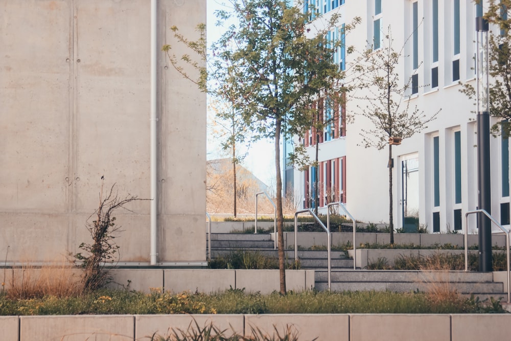 white concrete building near green trees during daytime