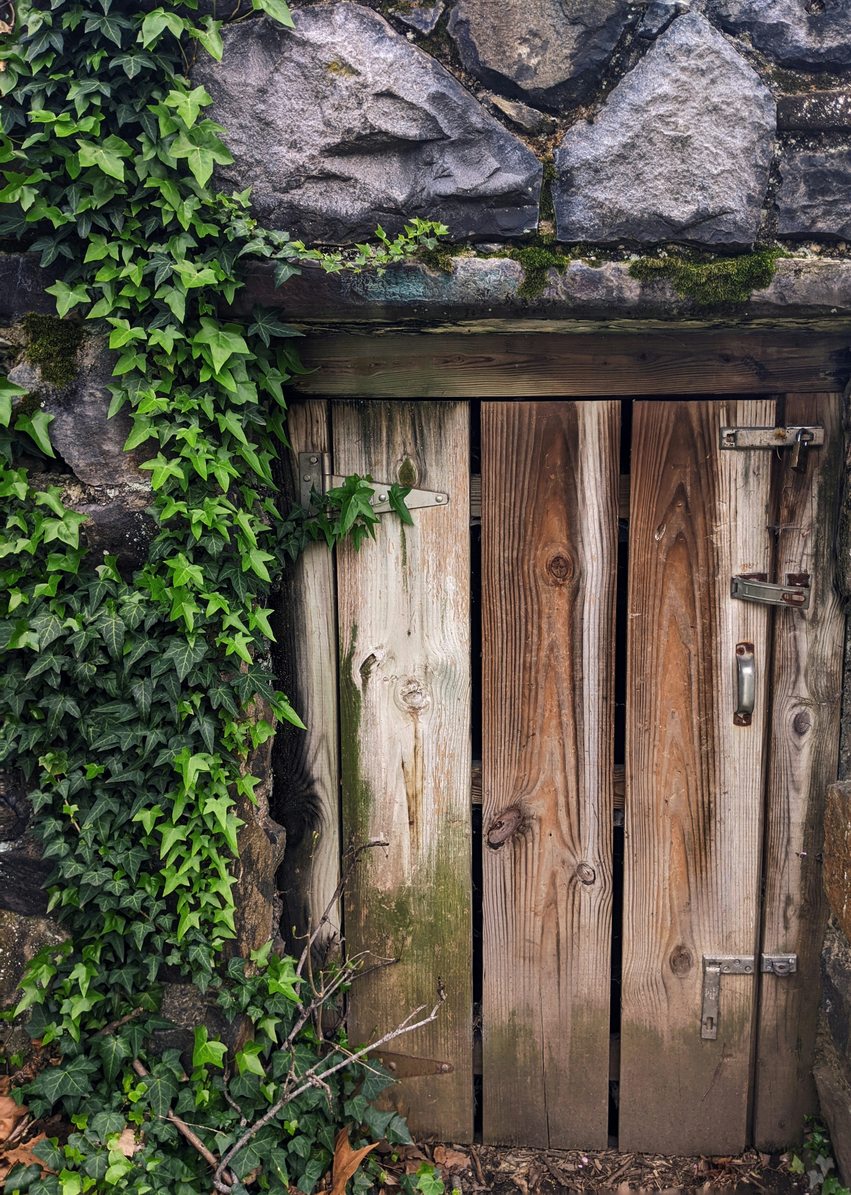 Photo by jordieharvey