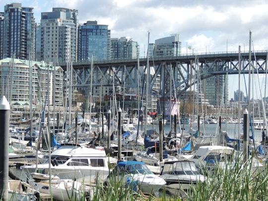 white and blue boat on dock during daytime in George Wainborn Park Canada