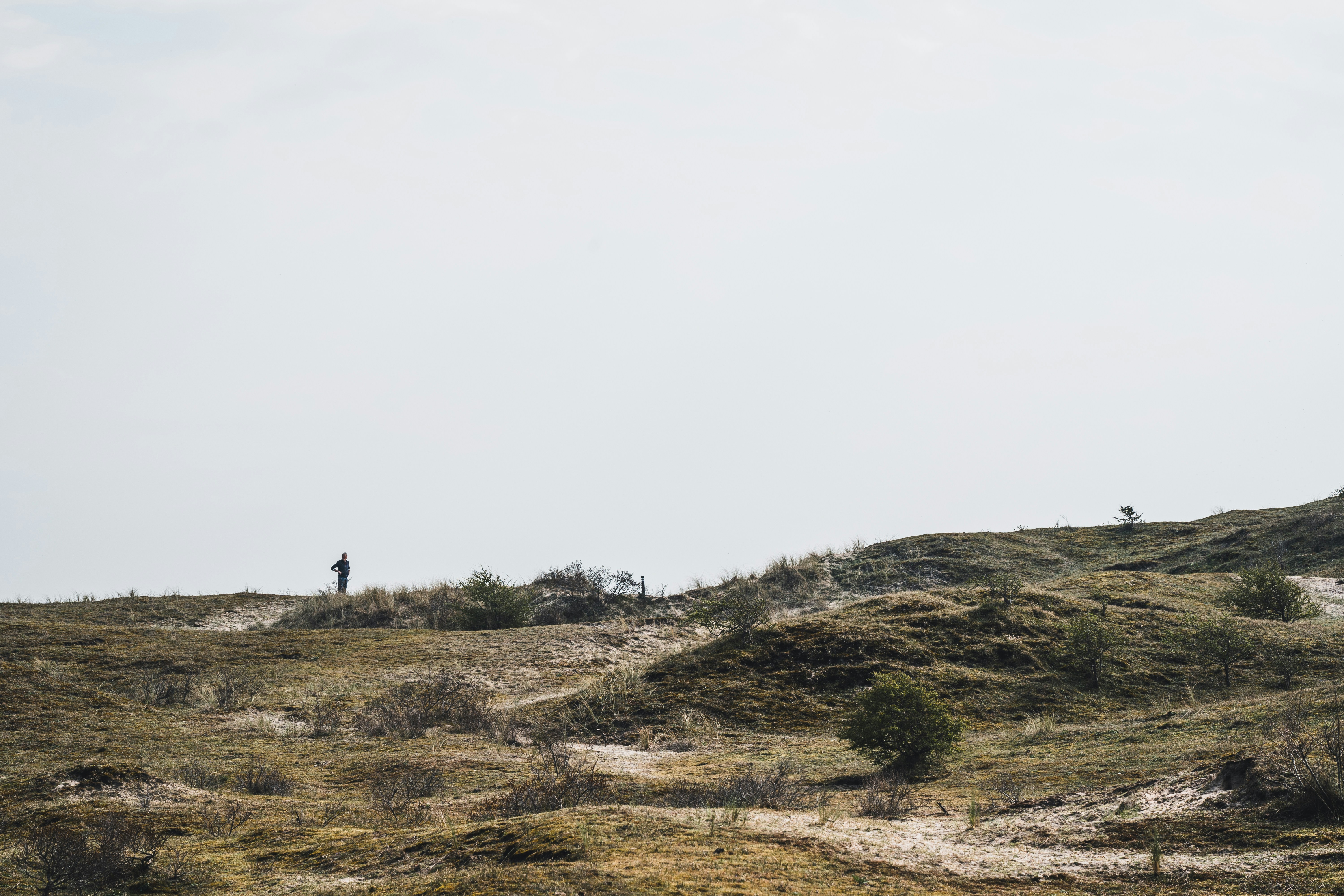 Photo by mitchelanneveldt