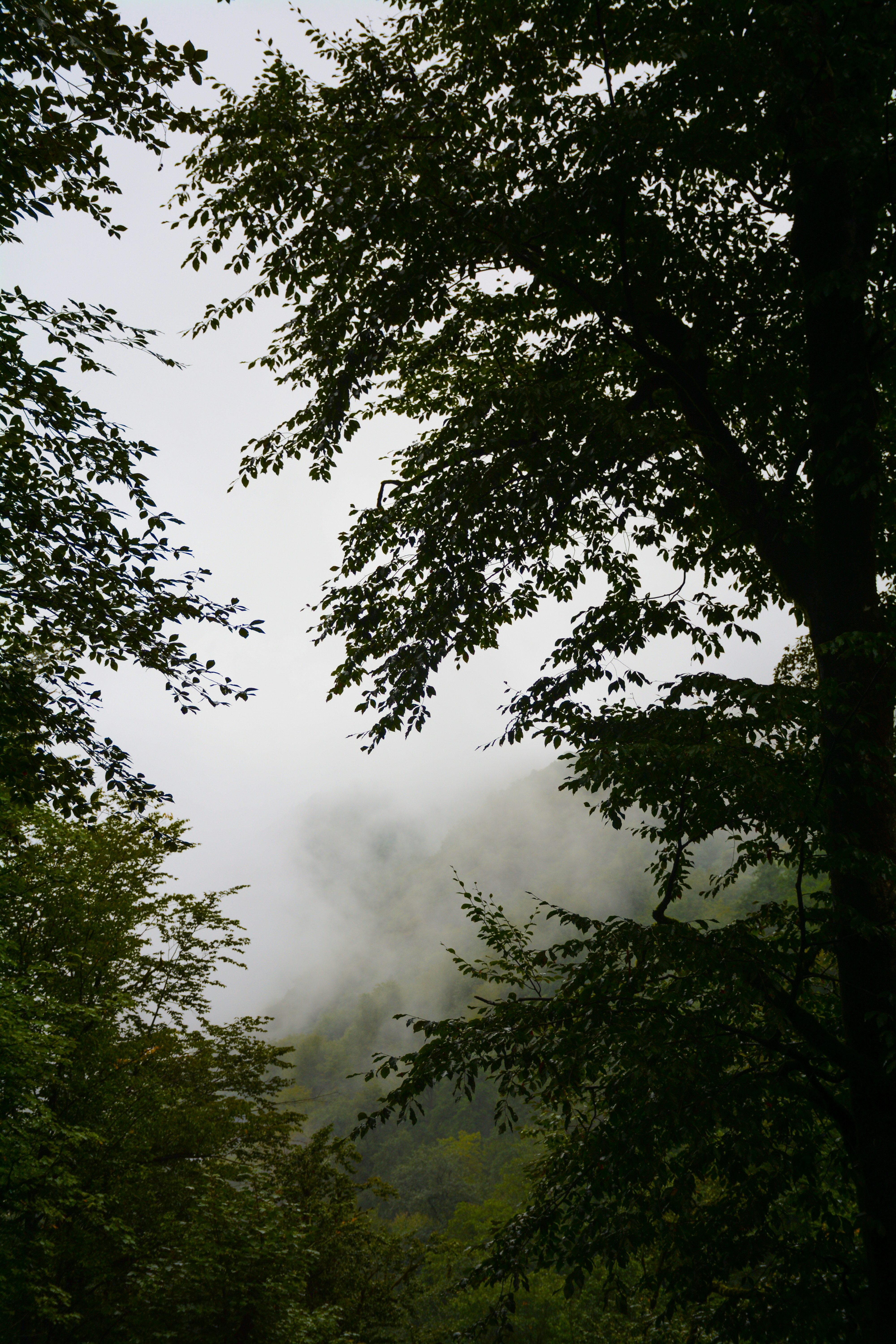 Photo by iamomiid