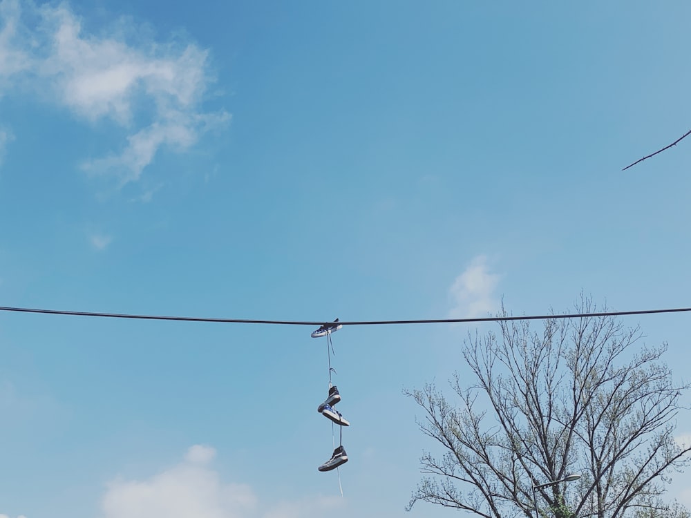 black birds on black electric wire under blue sky during daytime