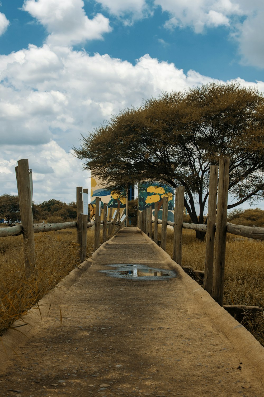 gray concrete pathway between brown trees under white clouds and blue sky during daytime