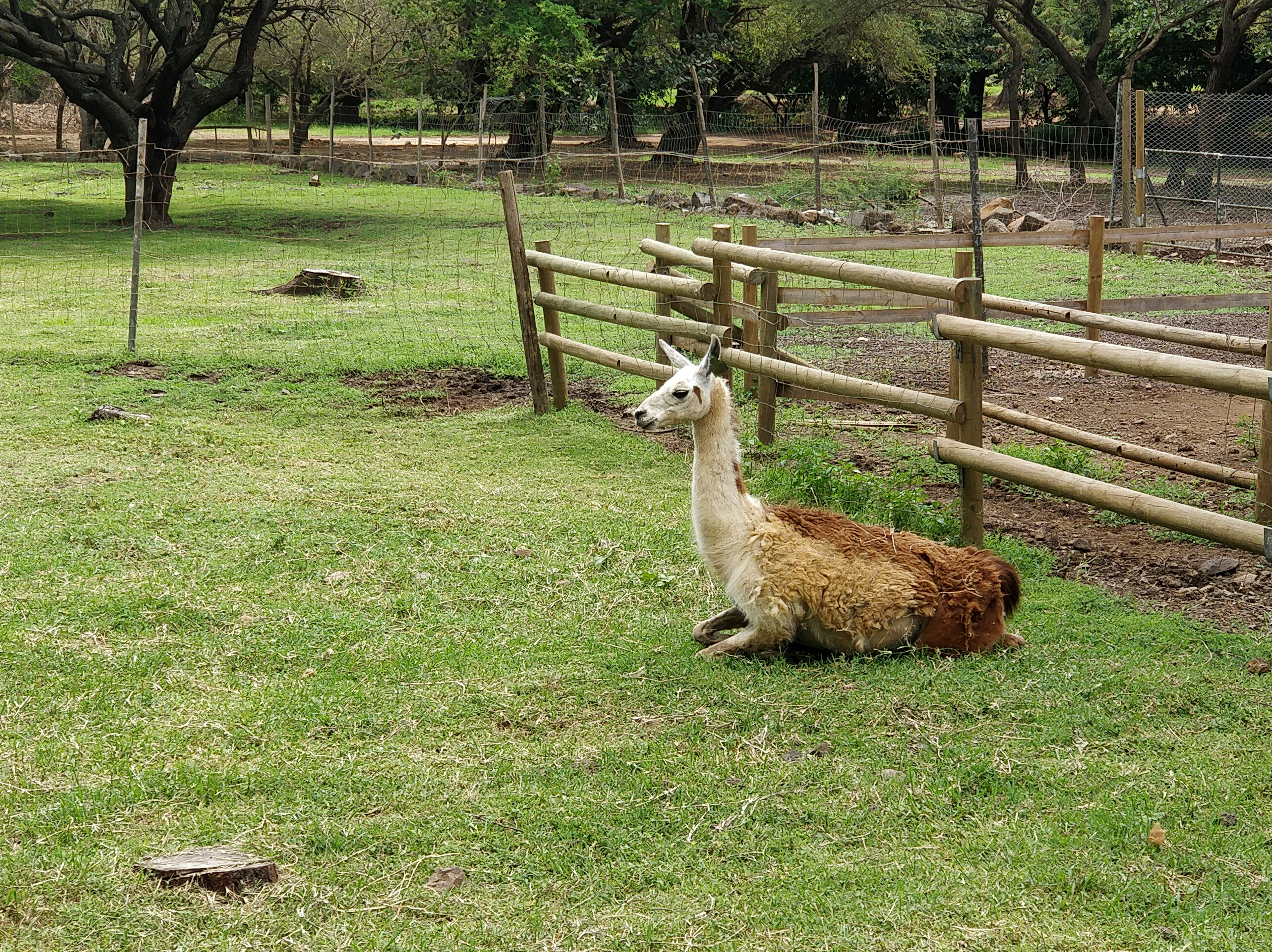 Photo by easycabmauritius