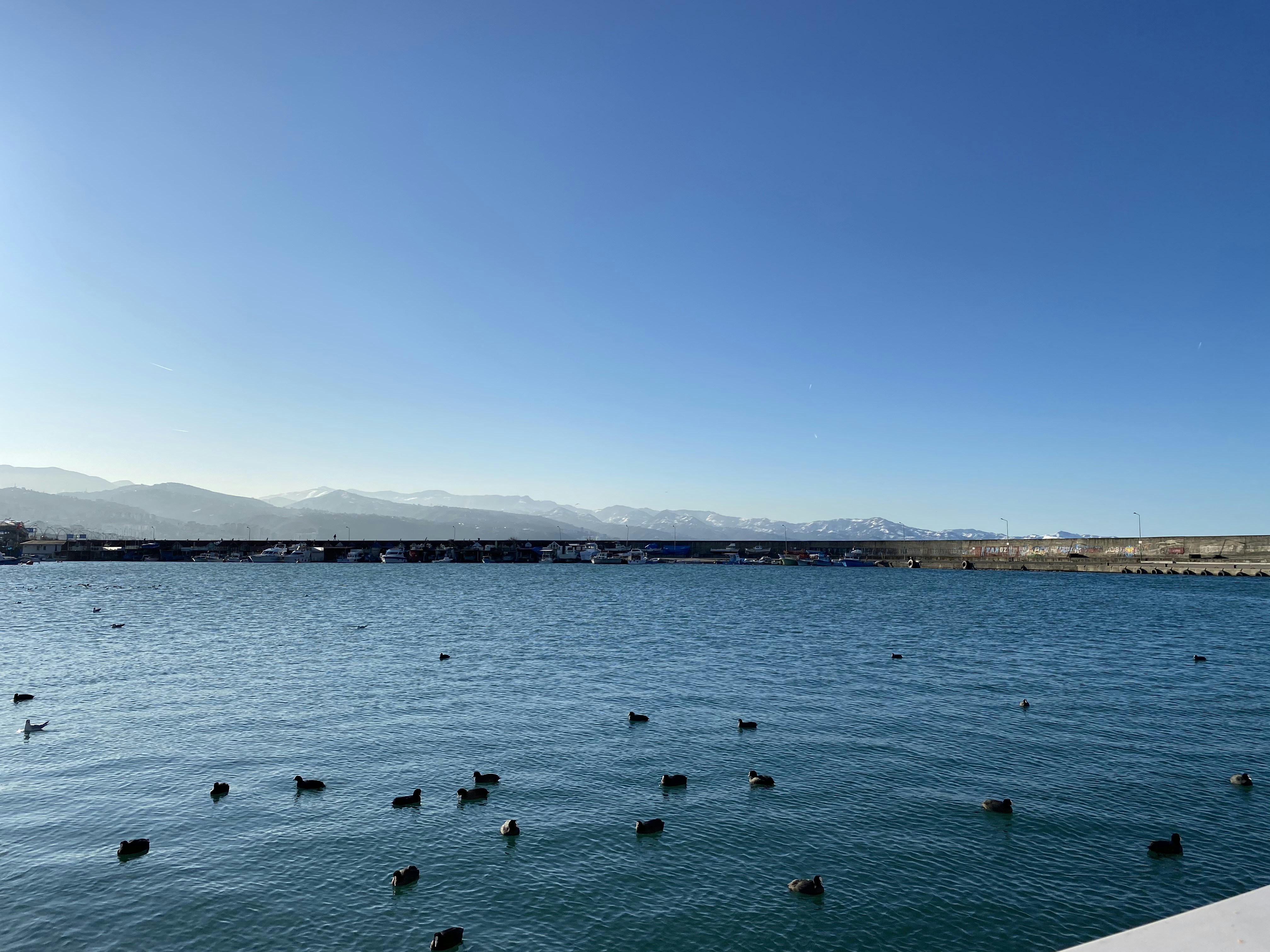 Photo by mulkiyesisman