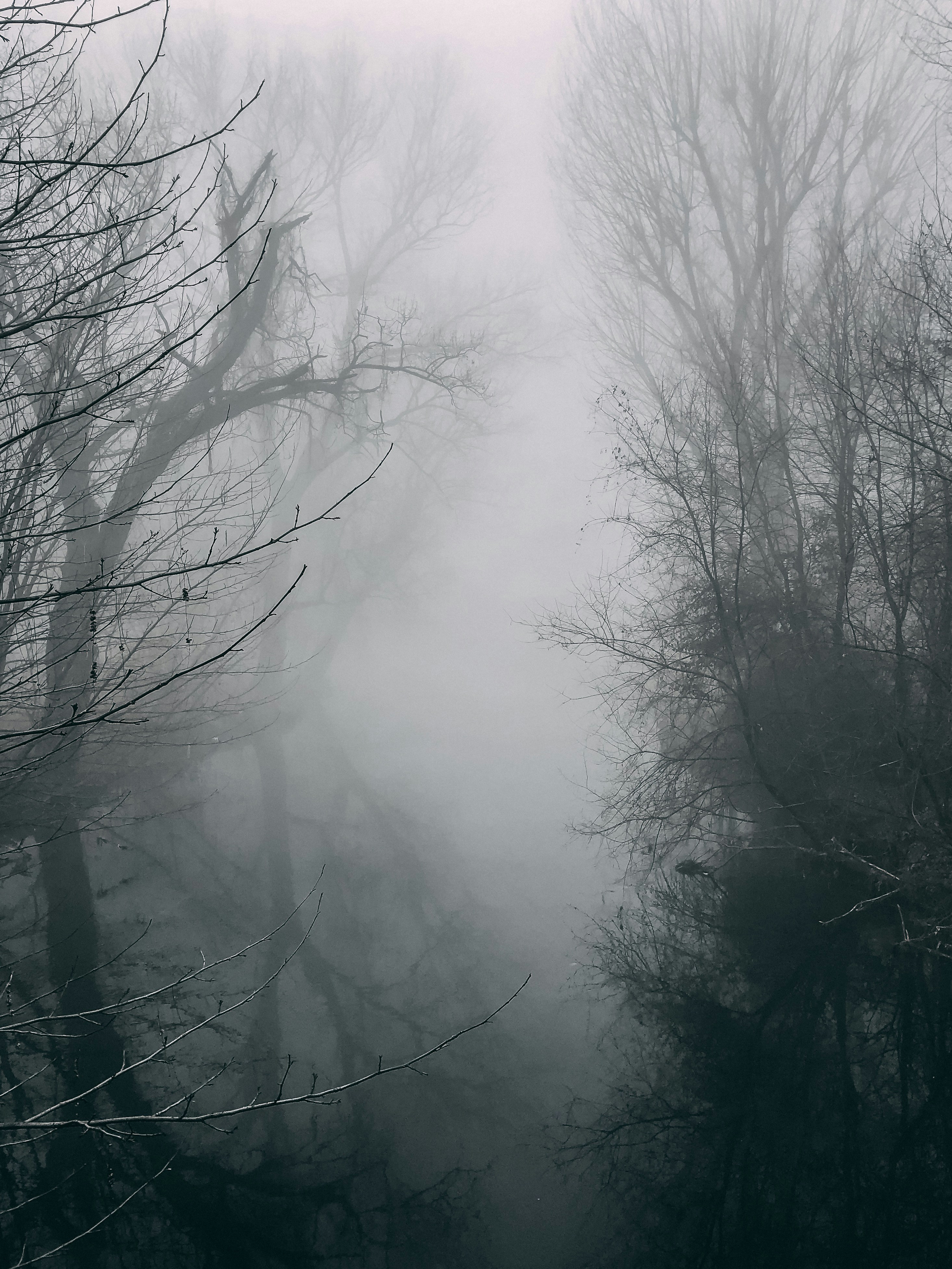 Photo by danielesalutari