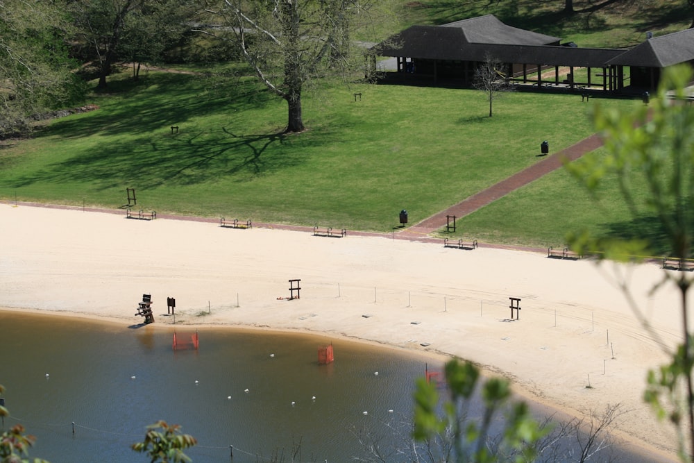 people walking on green grass field near body of water during daytime