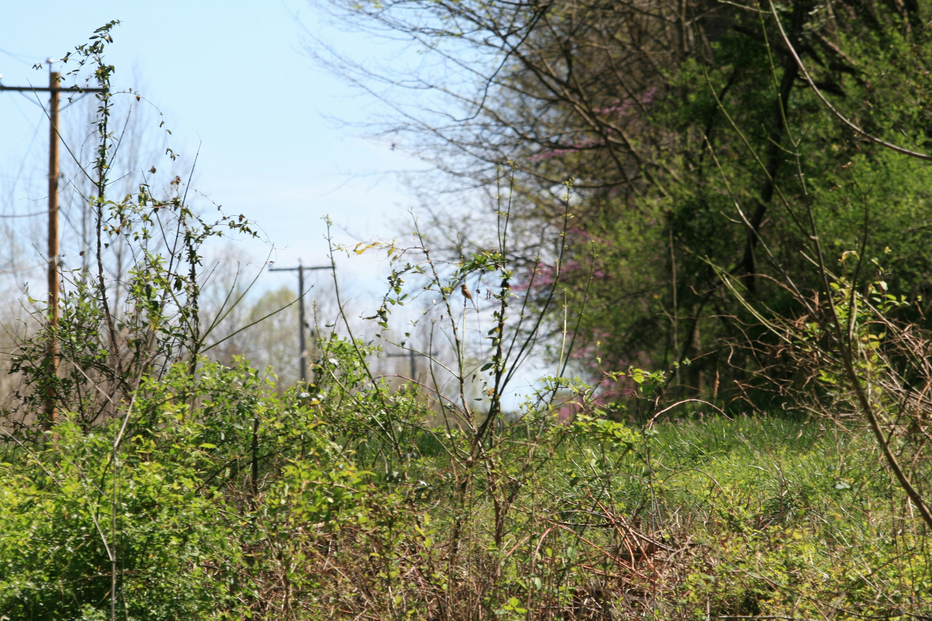 Photo by martinjg8891