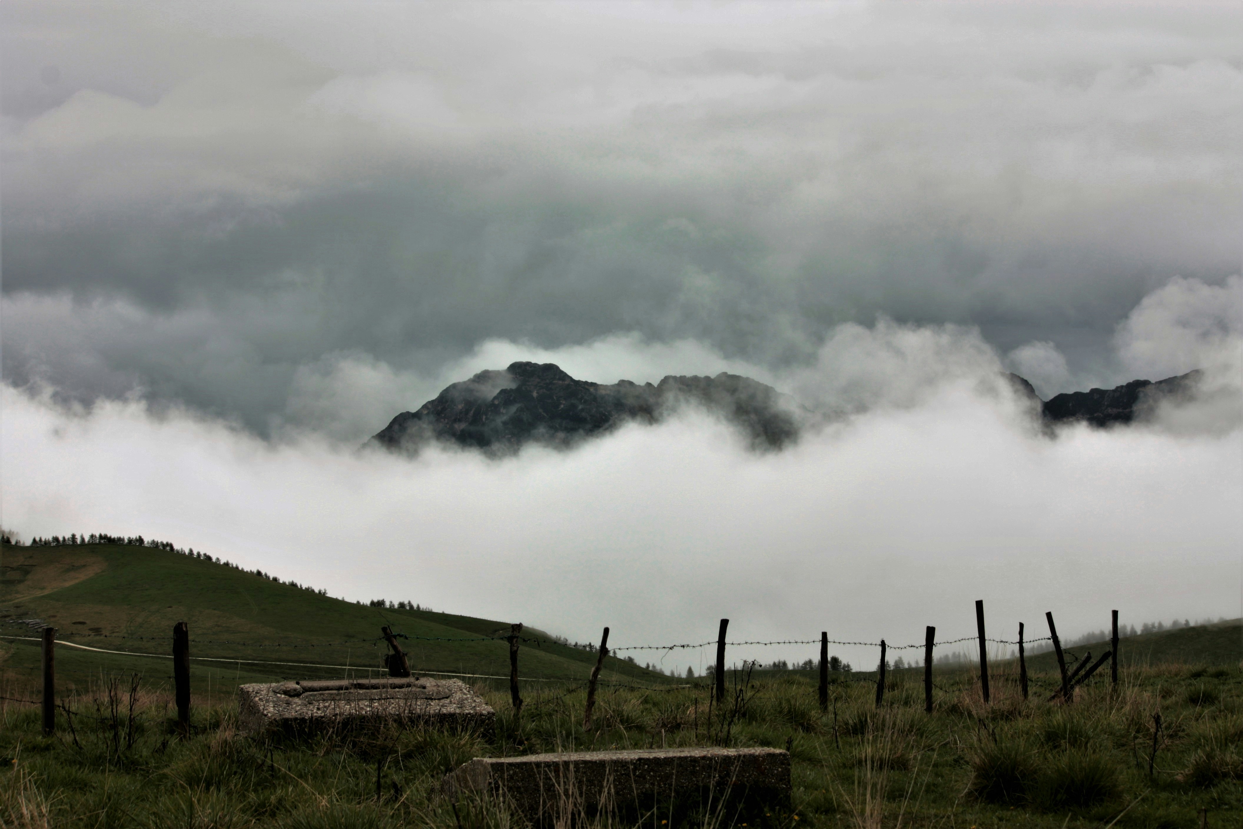 Photo by alessandroventuri