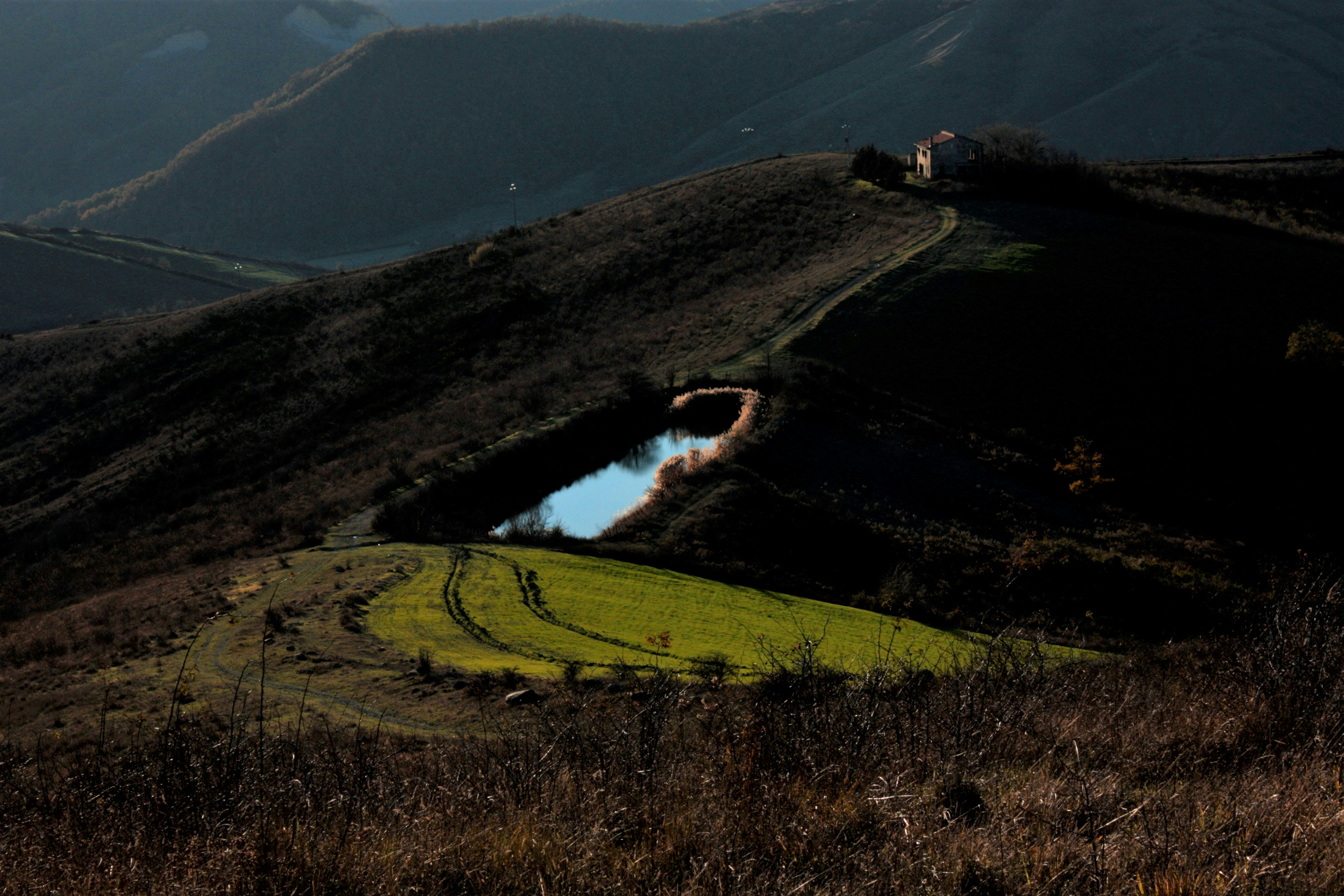 Photo by alessandroventuri