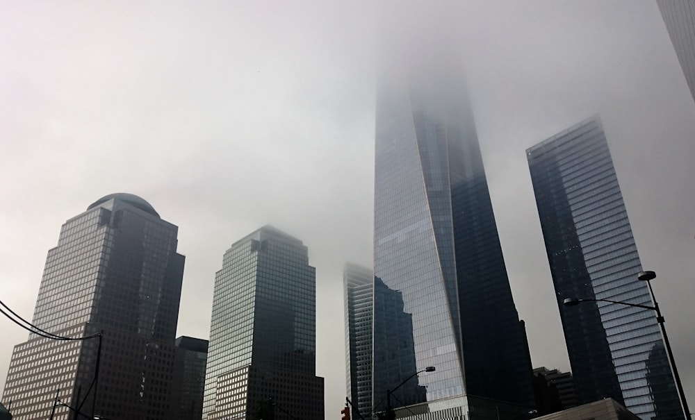 high rise buildings under white sky