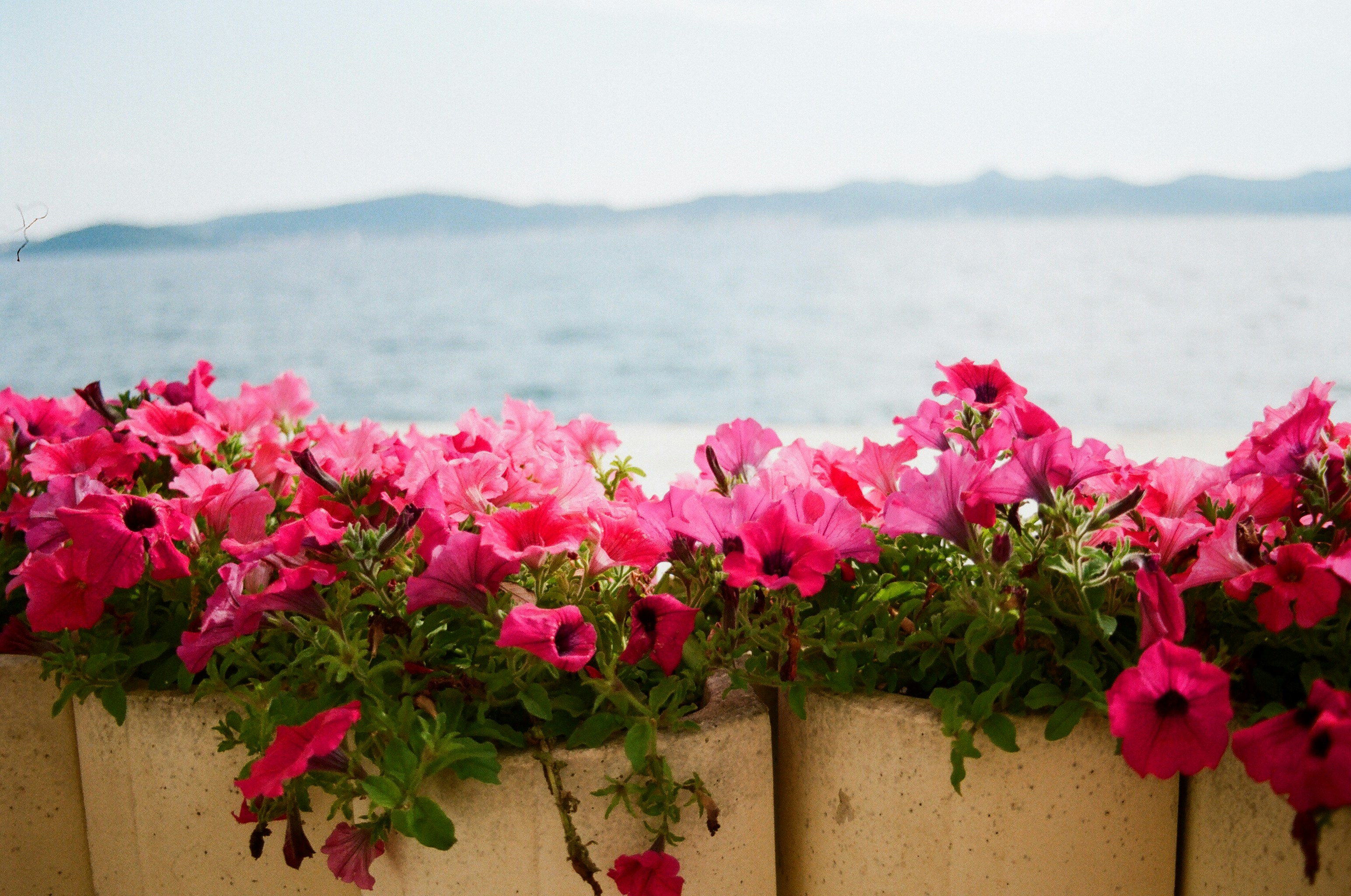 Photo by babikacharava