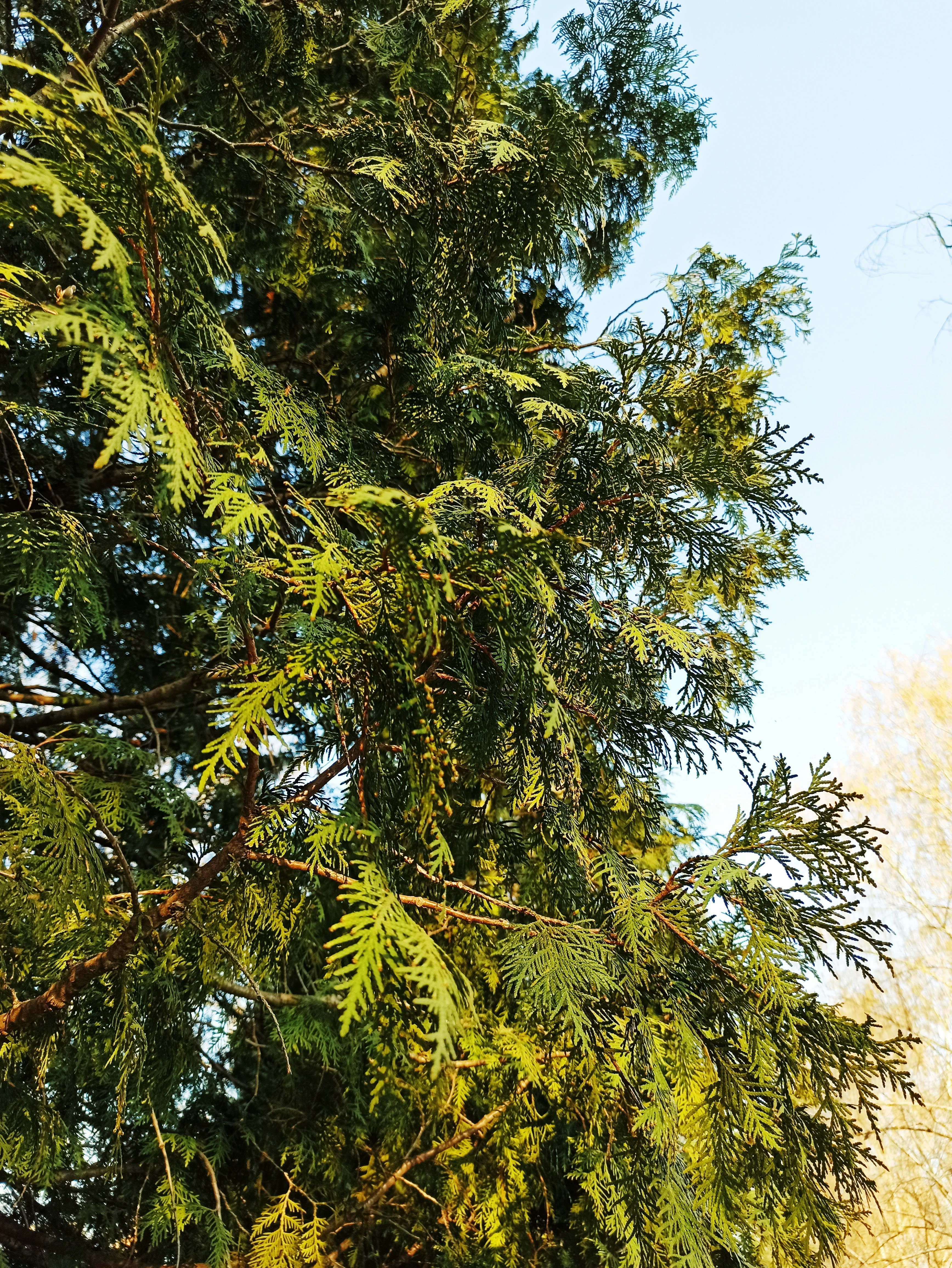 Photo by radhasjam_palok