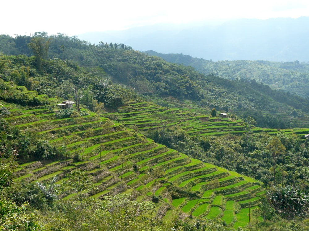 green grass field and mountain during daytime