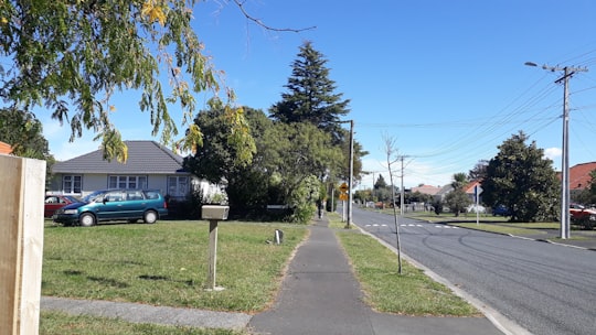 gray concrete road between green trees and houses during daytime in Hamilton New Zealand