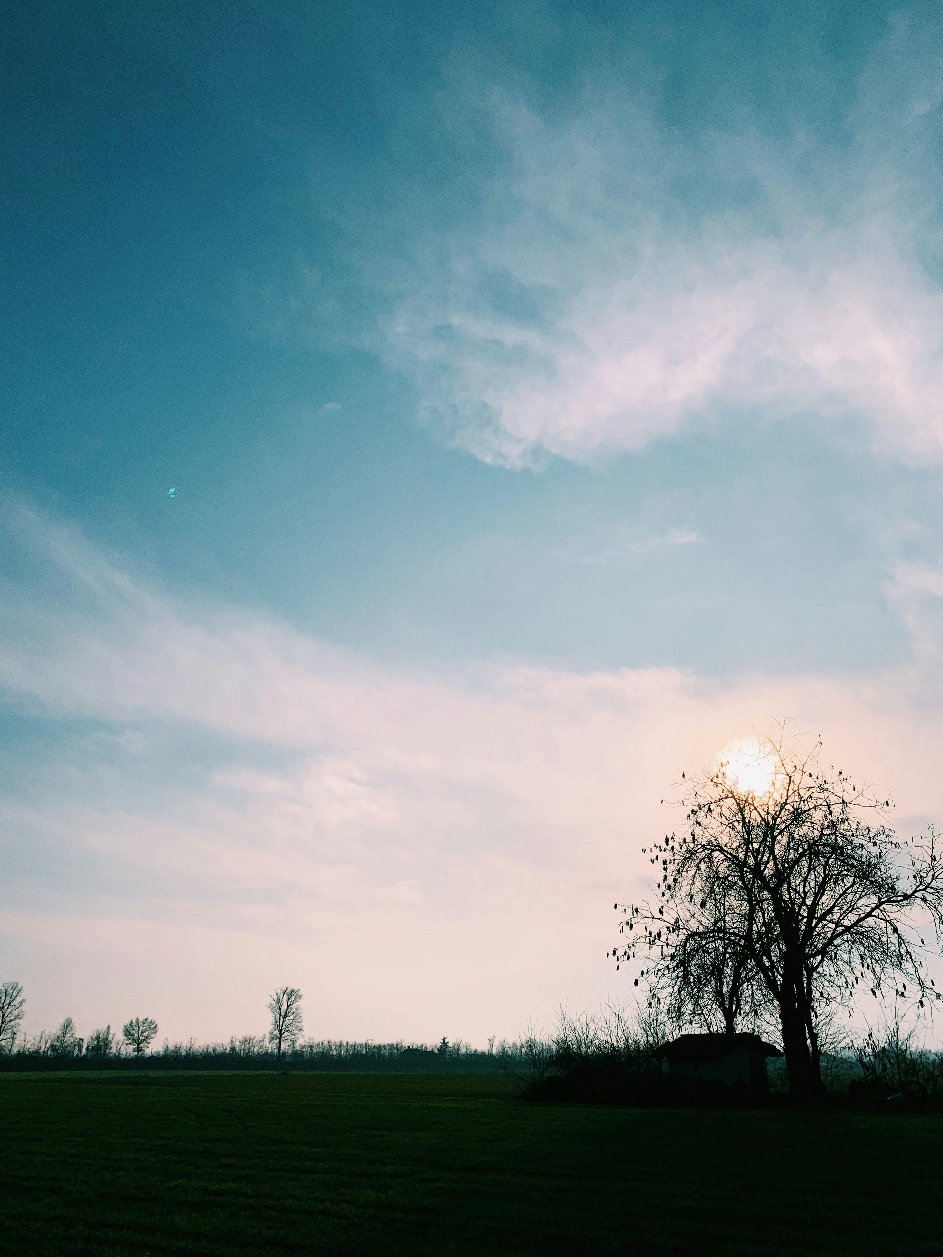 Photo by isabellacullari