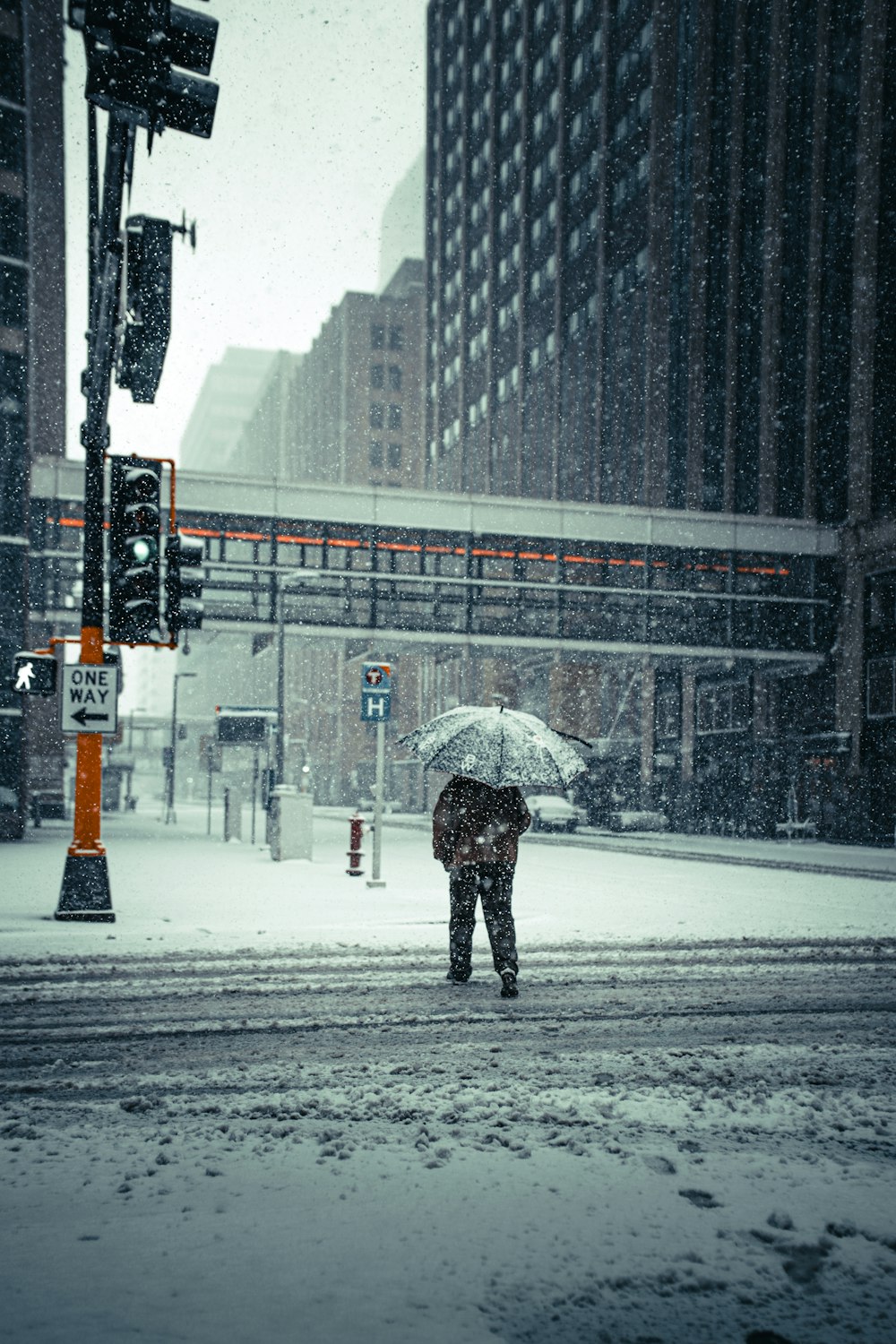 日中、雪に覆われた道路を歩く傘をさした黒いコートを着た人物