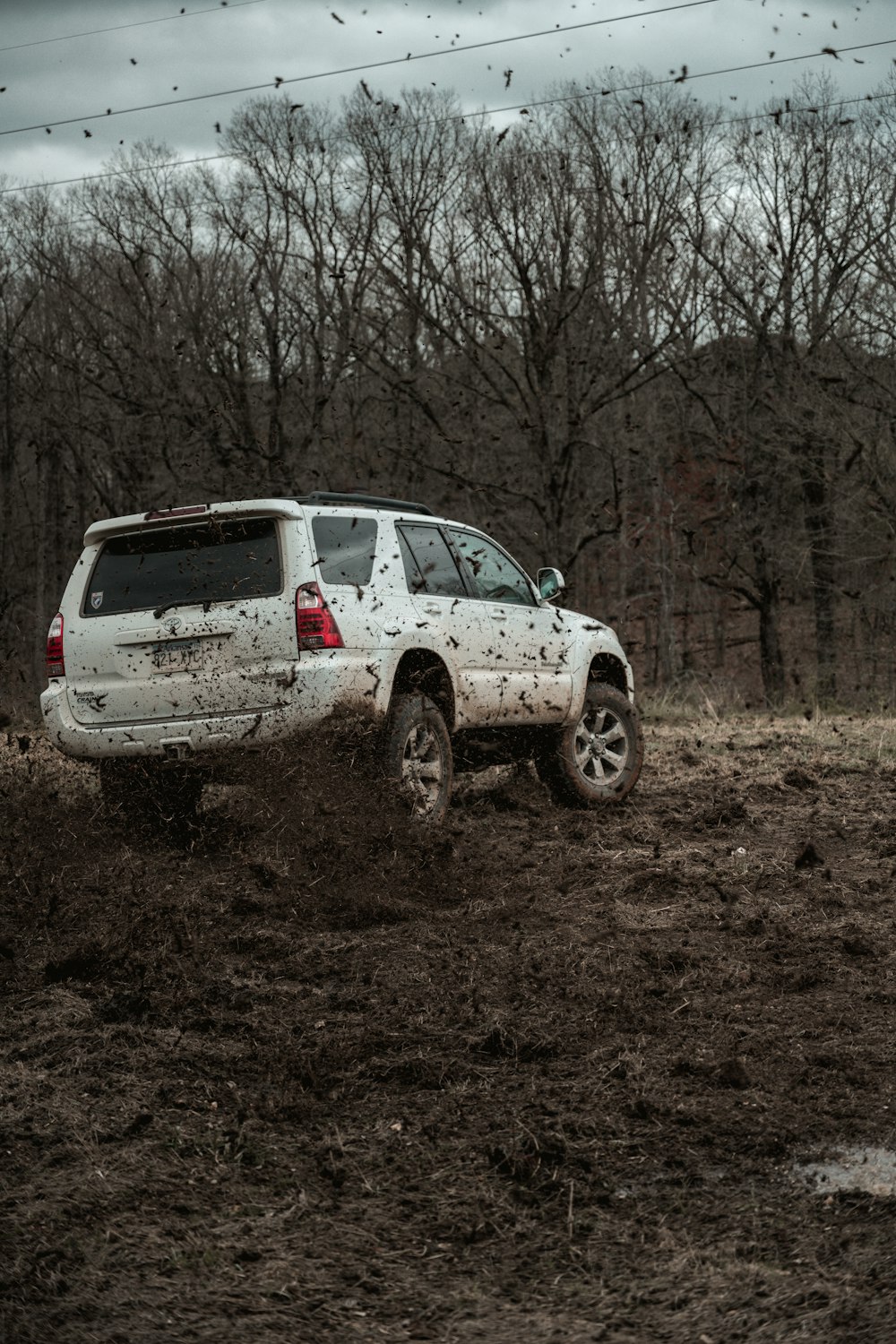 茶色のフィールドに白いホンダのSUV