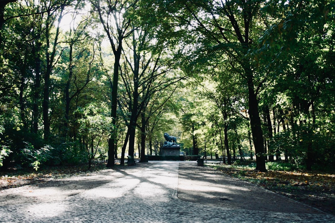 Forest photo spot Tiergarten Prenzlau