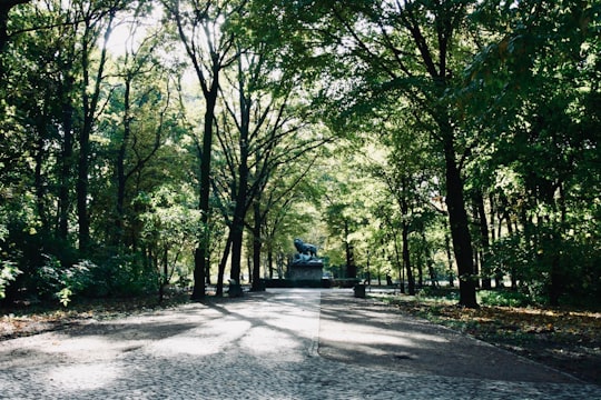 black car on road between green trees during daytime in Tiergarten Germany