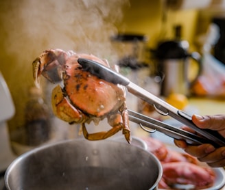 brown crab on stainless steel tray