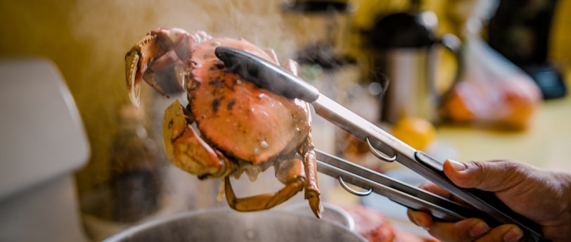 brown crab on stainless steel tray