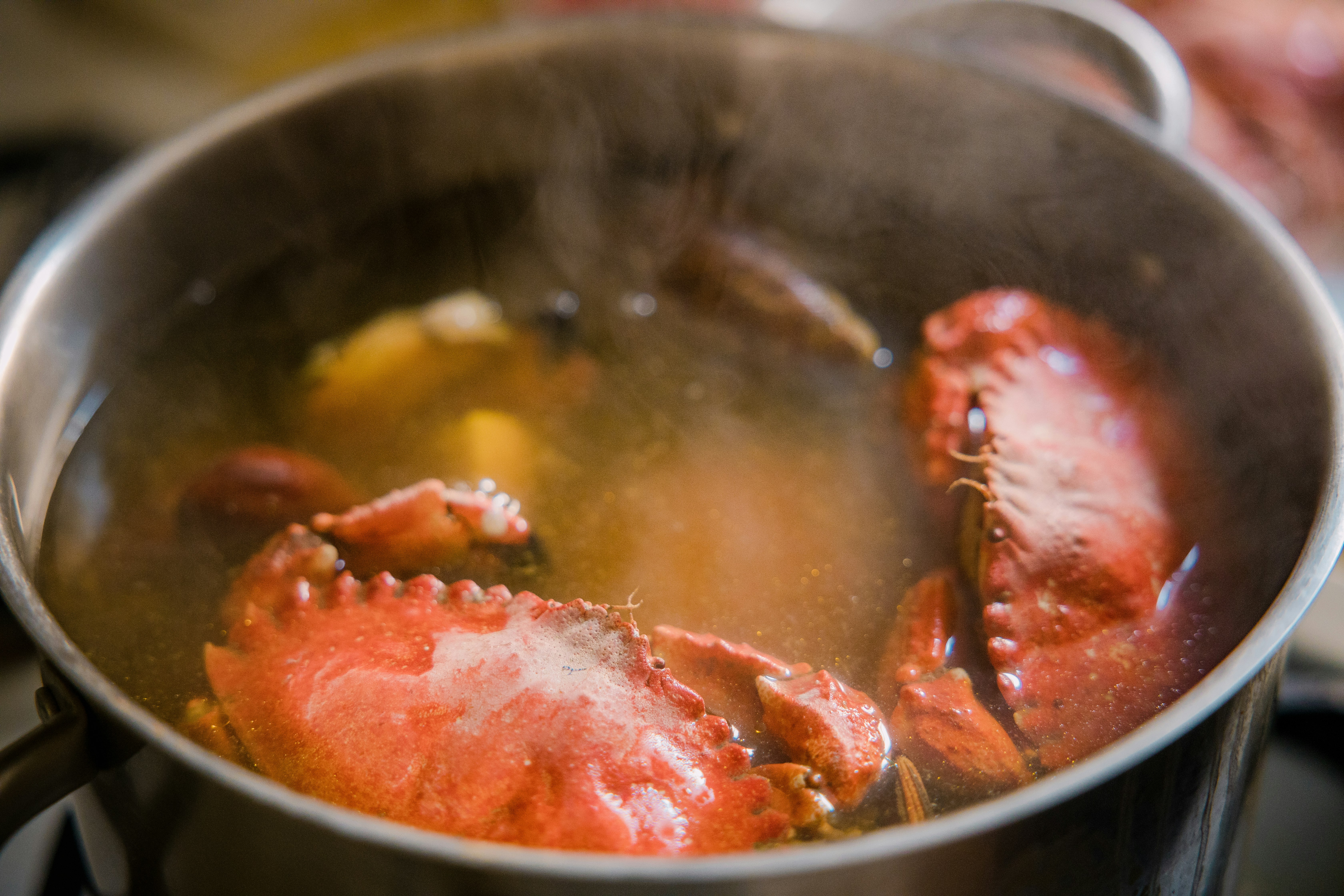 cooked food in stainless steel cooking pot