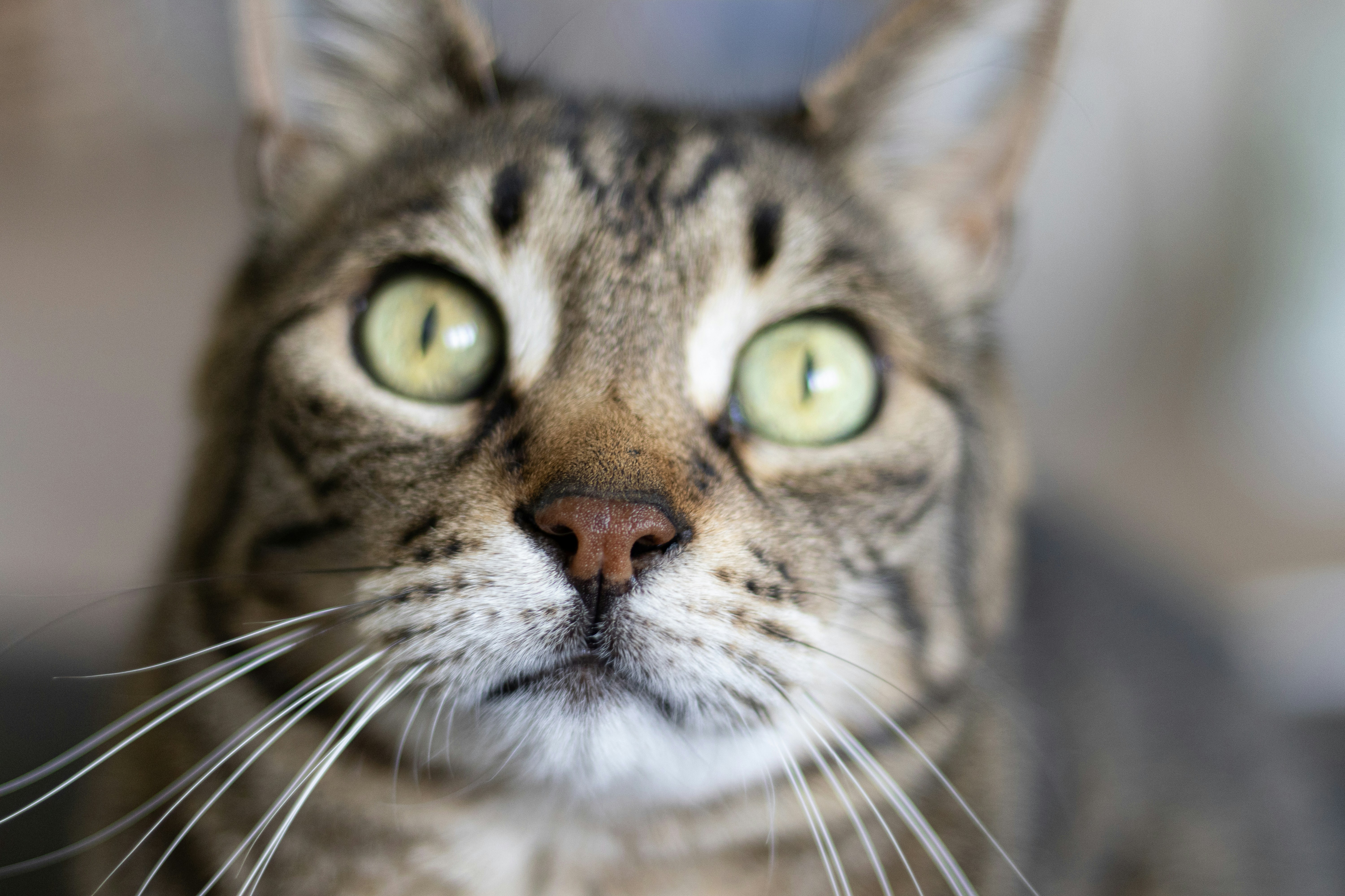 Photo by gokaygurcan