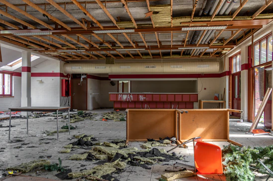 A friendly restoration expert assessing water damage inside a cozy living room bathed in natural light.
