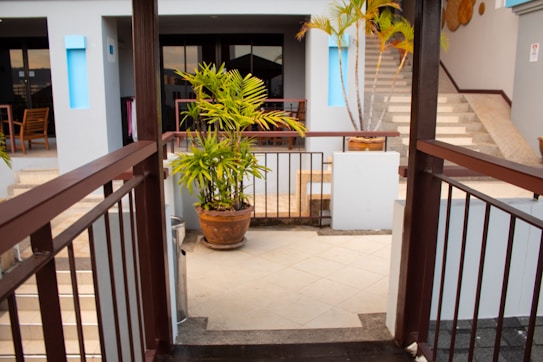 An outdoor area featuring a pathway lined with dark wooden railings leading to a patio with potted plants. The patio shows tiled flooring and steps that ascend on both sides. There is a large potted palm and smaller plants placed around, giving the space a tropical feel.