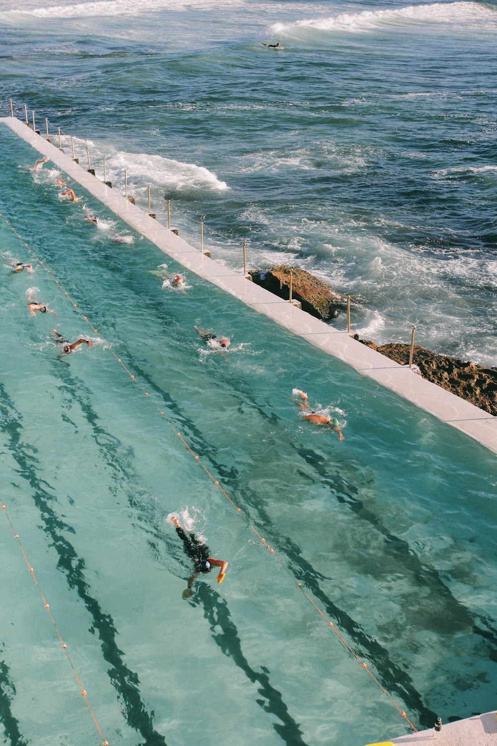 people swimming in the sea during daytime