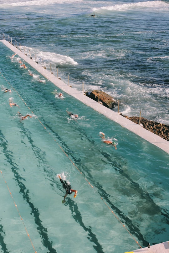 people swimming in the sea during daytime in Bondi Beach NSW Australia