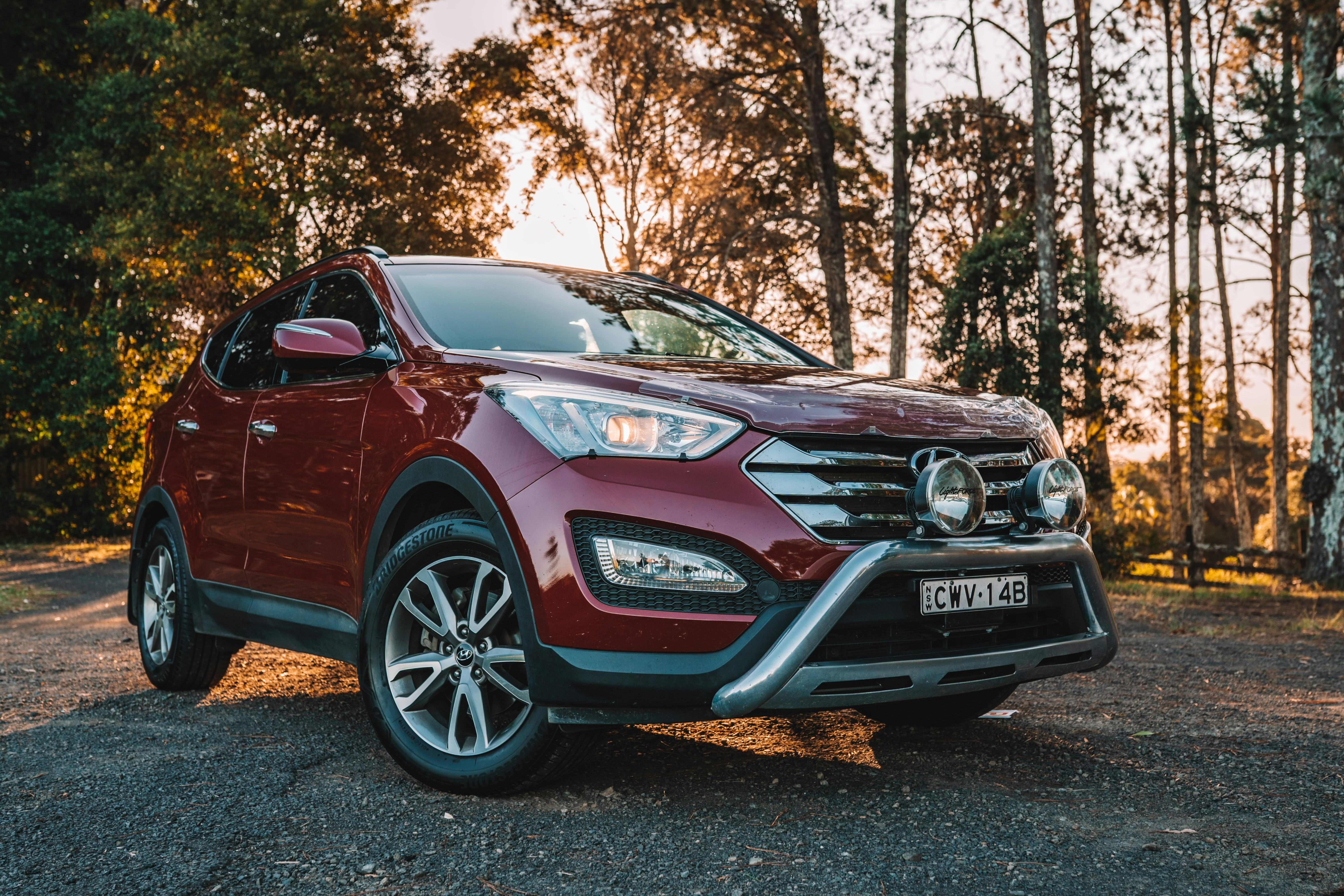 Photo by angus_buchanan