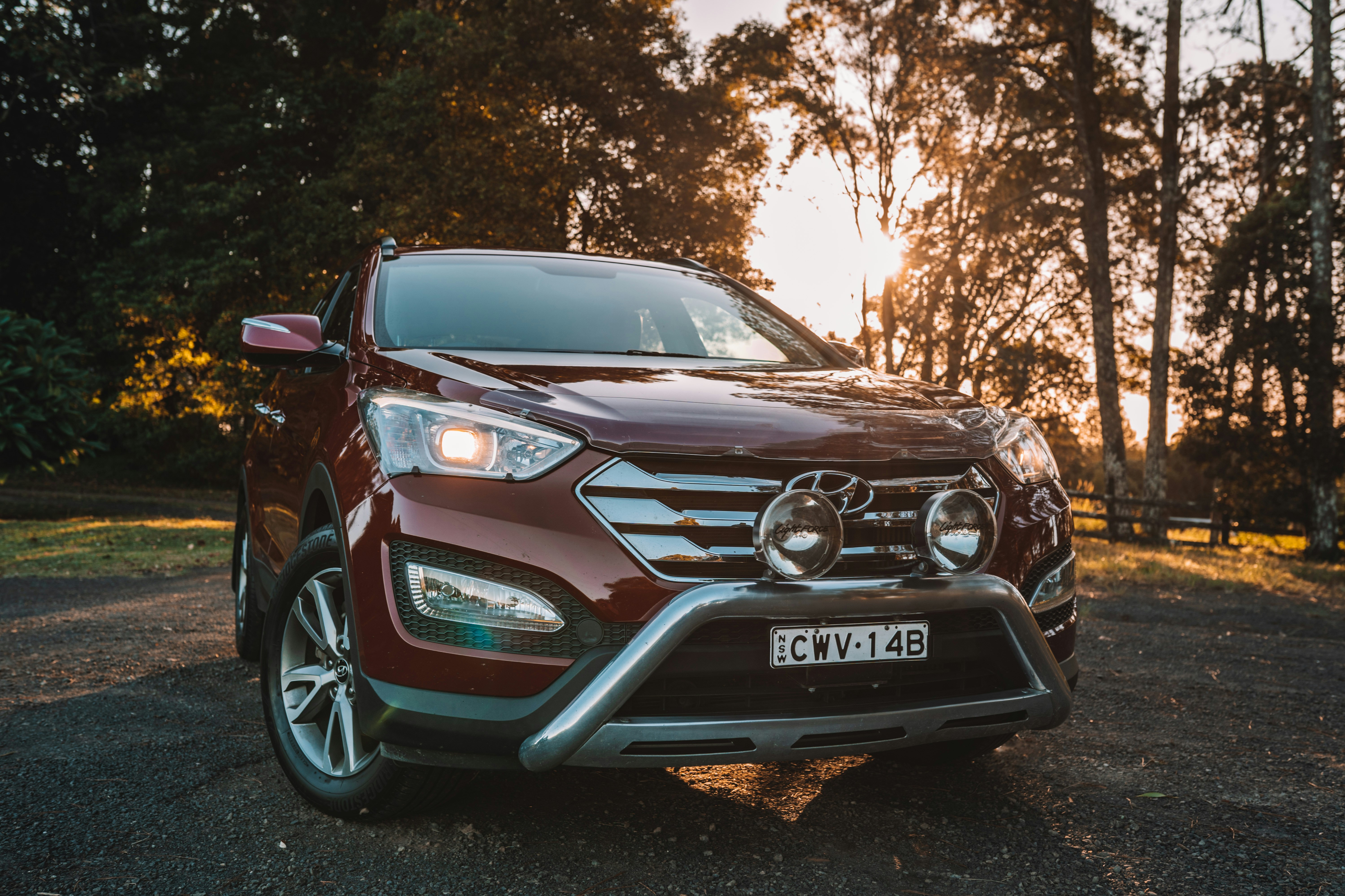 Photo by angus_buchanan