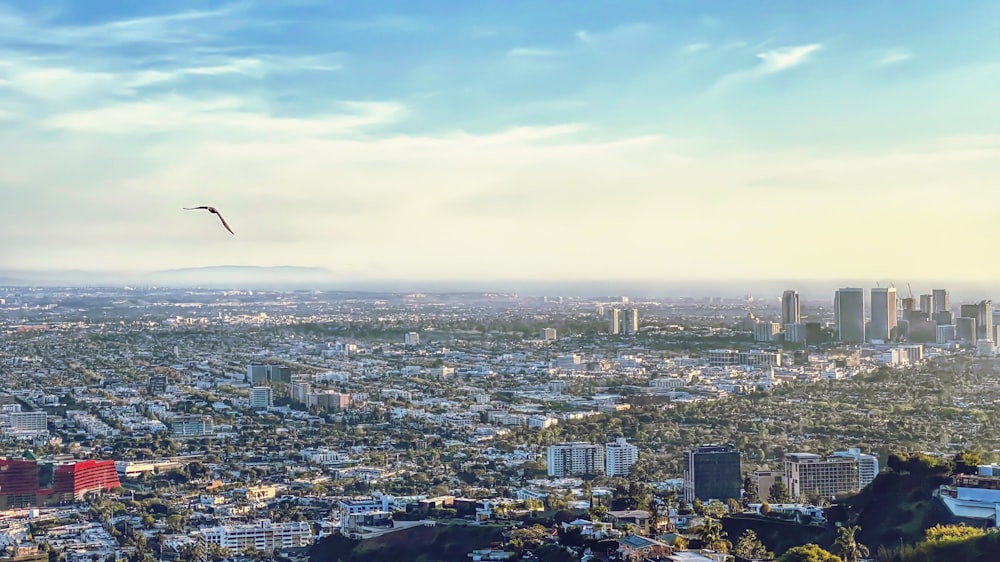 a bird flying over a city with tall buildings