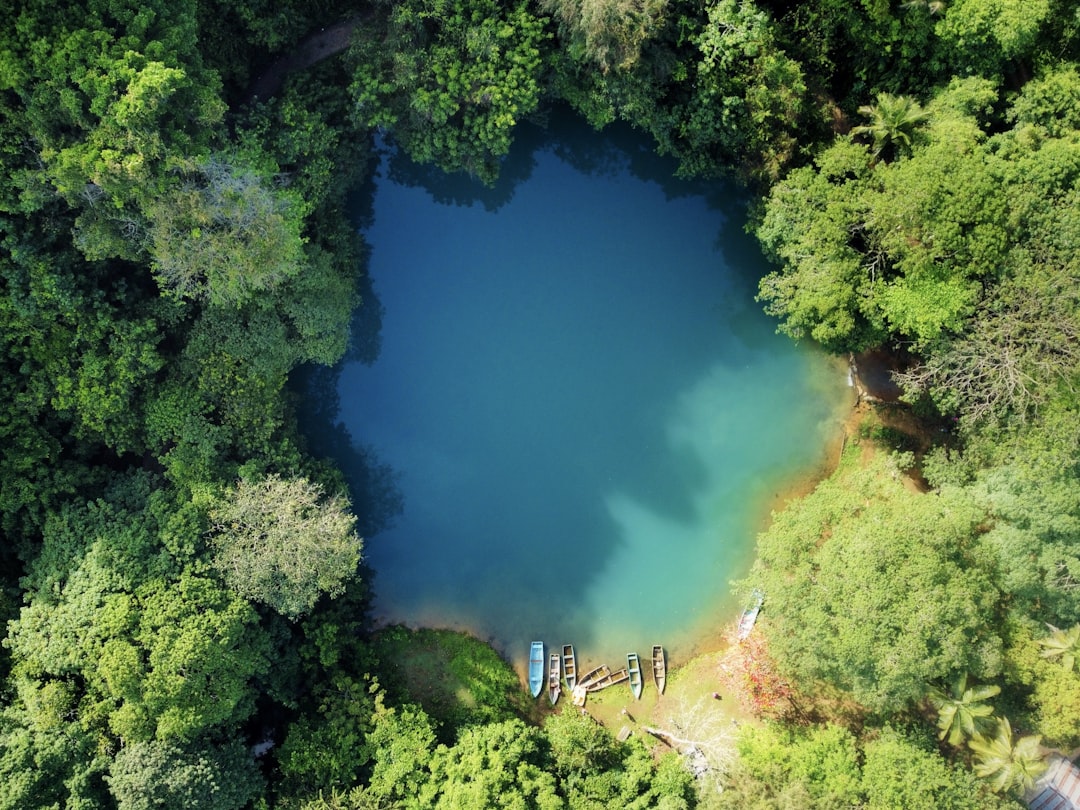 aerial view of green trees and river, Crystal Lagoon