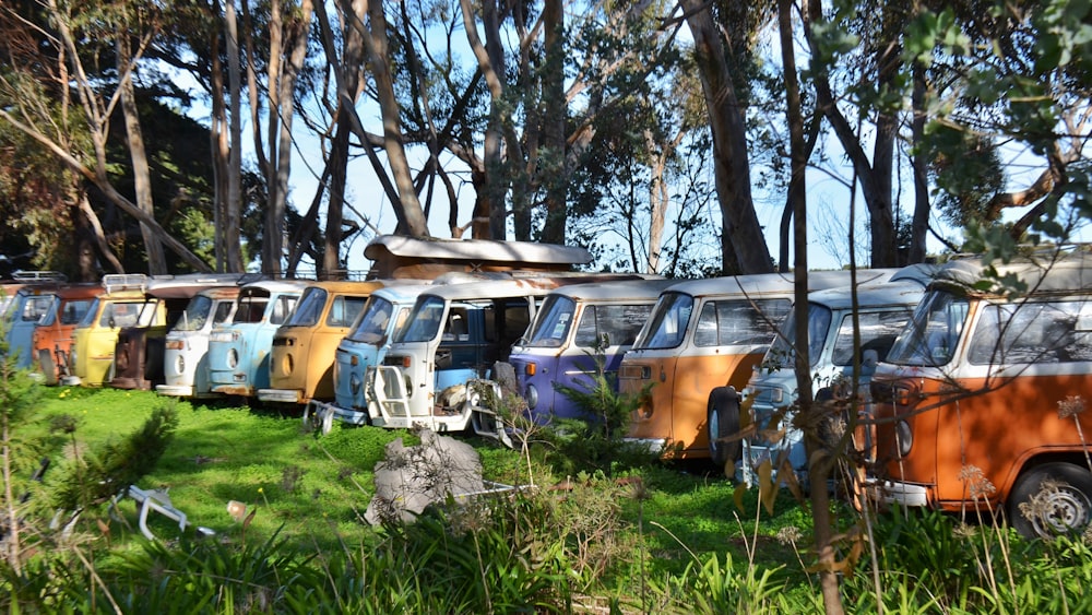 yellow and white van on green grass field during daytime