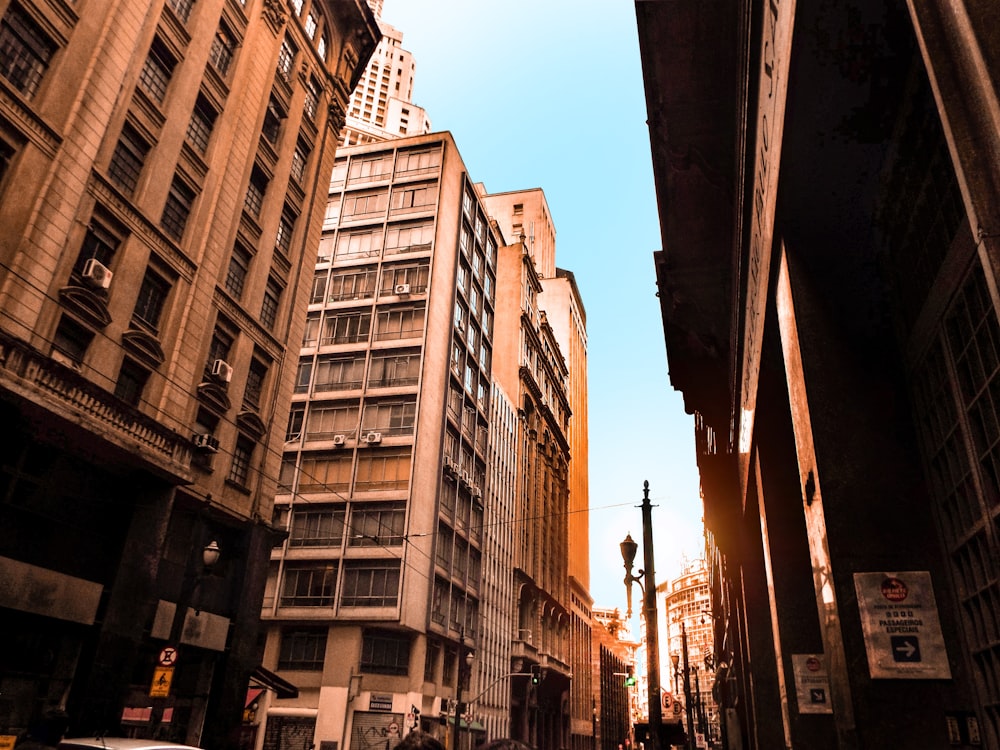 white and brown concrete buildings during daytime