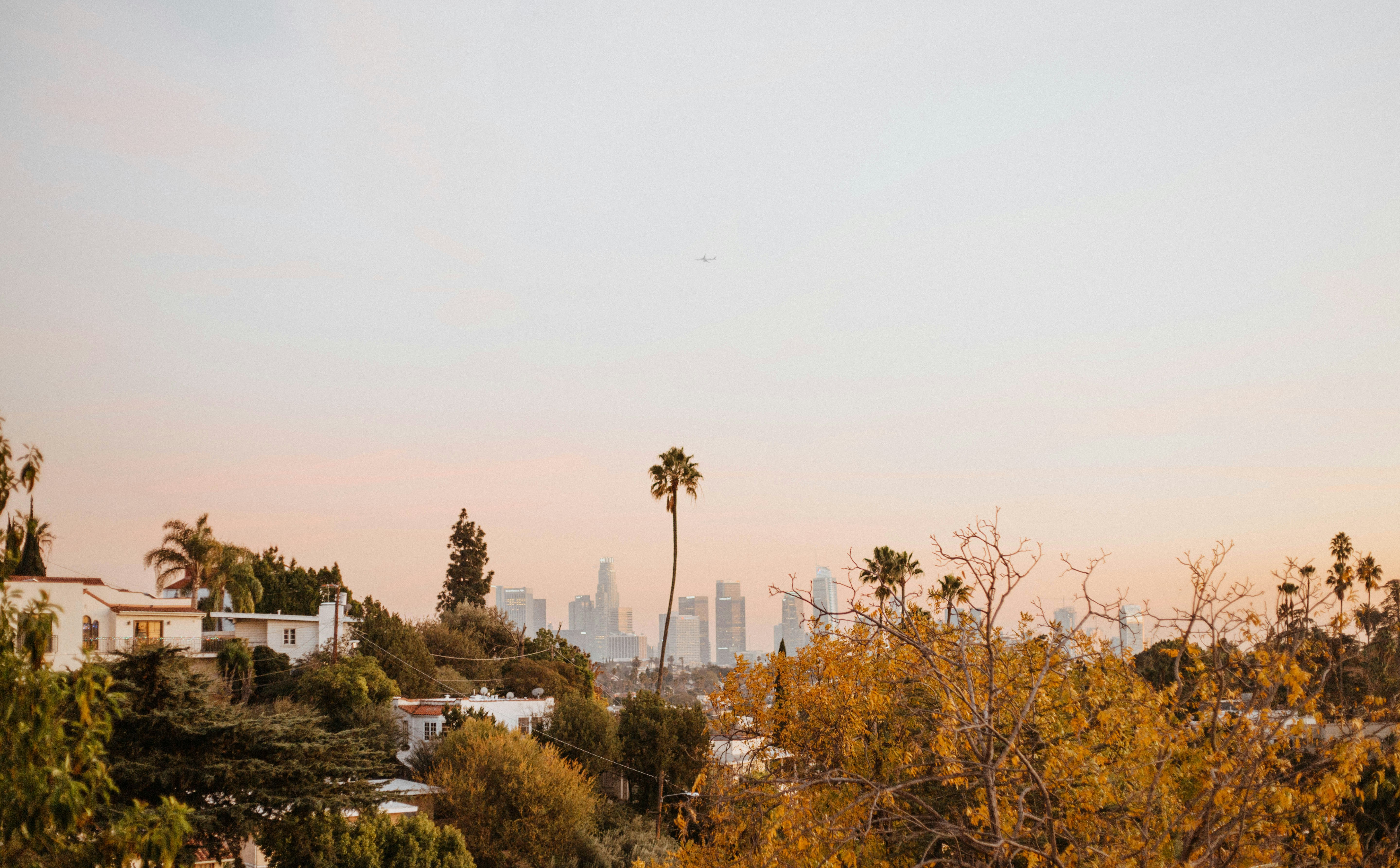 green trees near city buildings during daytime