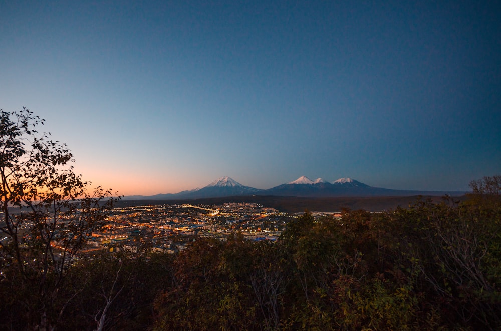 green trees and mountains during night time