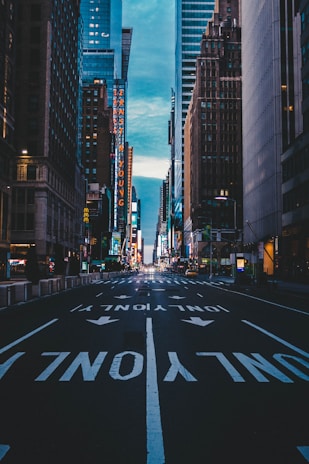 black and white pedestrian lane in the city during daytime