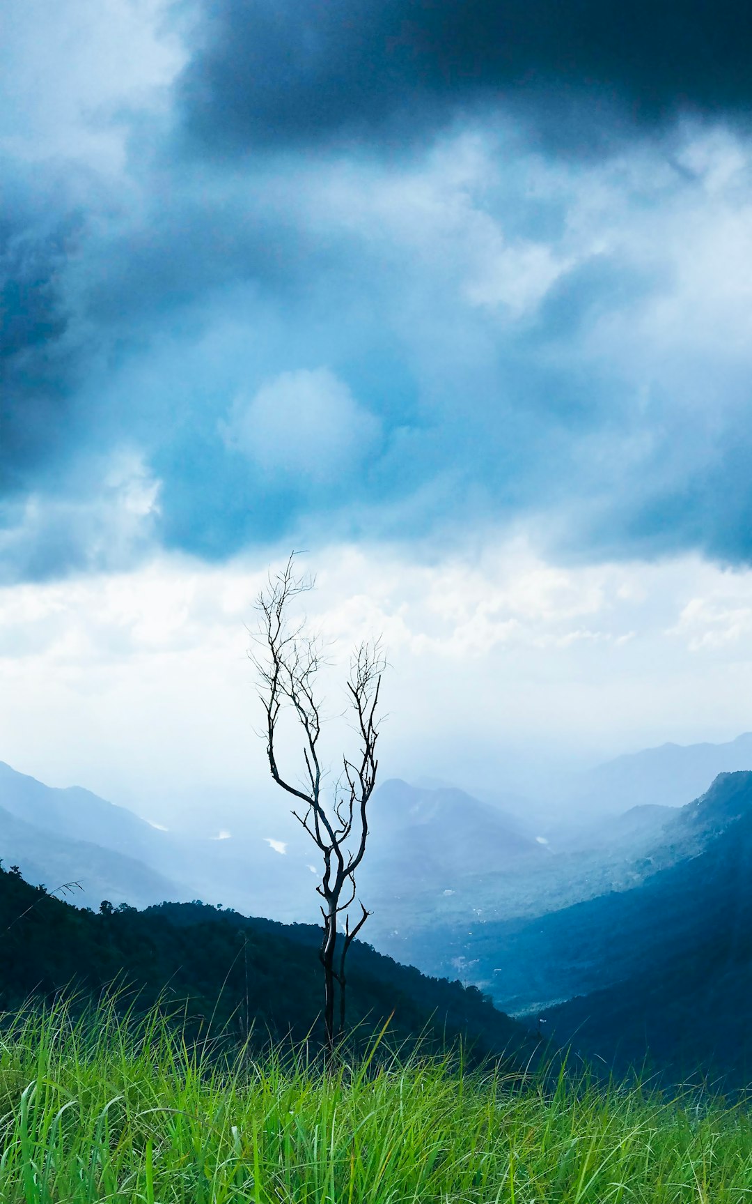 travelers stories about Mountain in Uluppuni Viewpoint, India