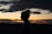 silhouette of woman standing during sunset