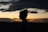 silhouette of woman standing during sunset